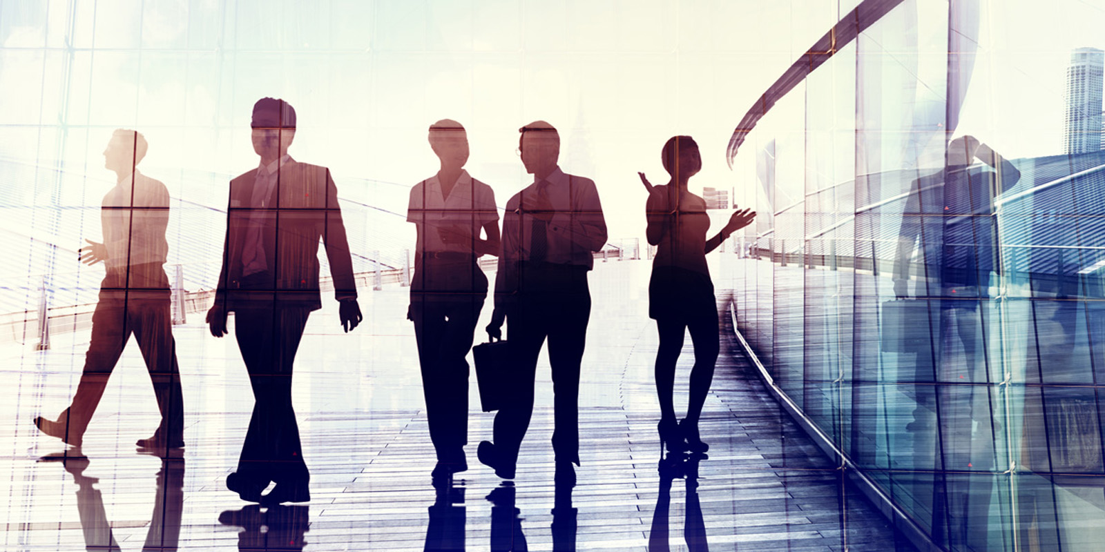 Accountants in Qatar Financial Consultants Qatar CPA in Doha